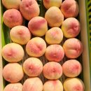 지희농장 이미지