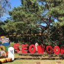 서운농장 이미지