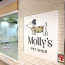 오늘의 강아지 이미지