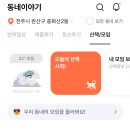 댕스타 | 강아지 산책앱 추천!! 친구들아 피피에서 만나