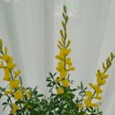 별빛농원 이미지