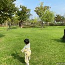 장미공원(진천) | [달서구 선돌공원/선돌마당근린공원] 맘모스 만나는 선사시대 컨셉 놀이터 후기 (29개월 아기와 초가을...