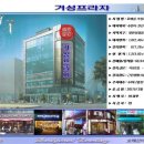 거성태권도 이미지