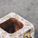 애플트리 이미지