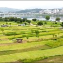 양평파크골프장 이미지