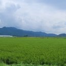 한강노을빛체험마을 이미지