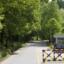 청남대 진입로 이미지