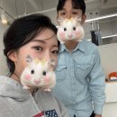 대전 야외 웨딩촬영 '모브앤바인(mov and bine)' 원데이 촬영 후기