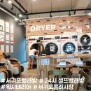 워시테리아올레
