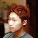 스왈로스튜디오 네이버블로그