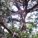 고향산천휴게소 이미지