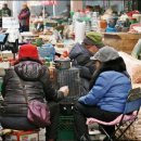 솔잎향기 이미지