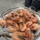 수성왕새우 티스토리