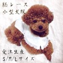 도그천사 이미지