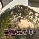 팜플로리아