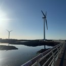 GS25제주하귀점 | 제주시 마농치킨 맛집 아라주는엄마치킨 하귀본점