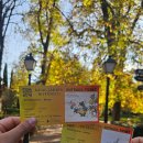 명동세탁소 | [스페인 6일차] 레이나 소피아 - 왕립식물원 - 레띠로공원 =3