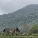 바람의 손맛 / 다시 한줄 시를 쓰다-김진수 이미지