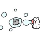 춘천보룡약국
