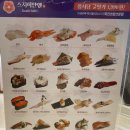 스시이안앤 발산역점 | 한 접시당 1,990원! 가성비 회전 초밥 맛집! '스시이안앤' 발산역점 내돈내산 후기