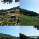 어등농장 이미지