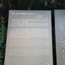 서귀포시청소년오케스트라 힐링콘서트 | 서귀포 정방폭포, 제주 3대 폭포 입장시간, 마감시간, 입장료, 주차 정보