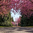 능곡도서관 이미지