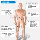 아스피린 효능 (펌) 이미지