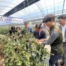 곡성농협 APC 이미지