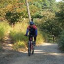 거북이주유소 이미지