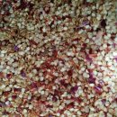 섶못농장 이미지