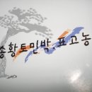 노송황토민박