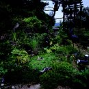 플로체 이미지