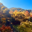 단풍 - 문경시 당교10길 17-3 | 단풍