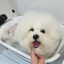 몽몽미용실 이미지