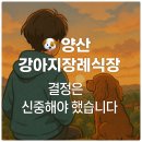 양산강아지장례식장 양산에서 강아지를 보내며 알게 된 진짜 장례 기준