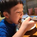 진사향