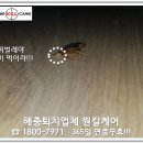 해충 오케이