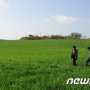 연창농장 머니투데이