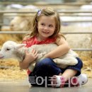 호주농장 이미지