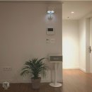 수영강변 이미지