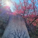 한산농원