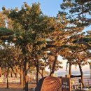 명관농장 이미지