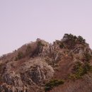 미오리 이미지