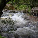 차평낚시터 이미지