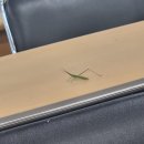 난 원예사 이미지