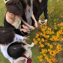 고요한밑금 | [담양 대형통창뷰카페] 들꽃숲후기 숲속 힐링 인생카페🌿