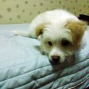 화홍고등학교 이미지