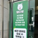 댕다방 이미지