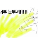 브라운 마켓